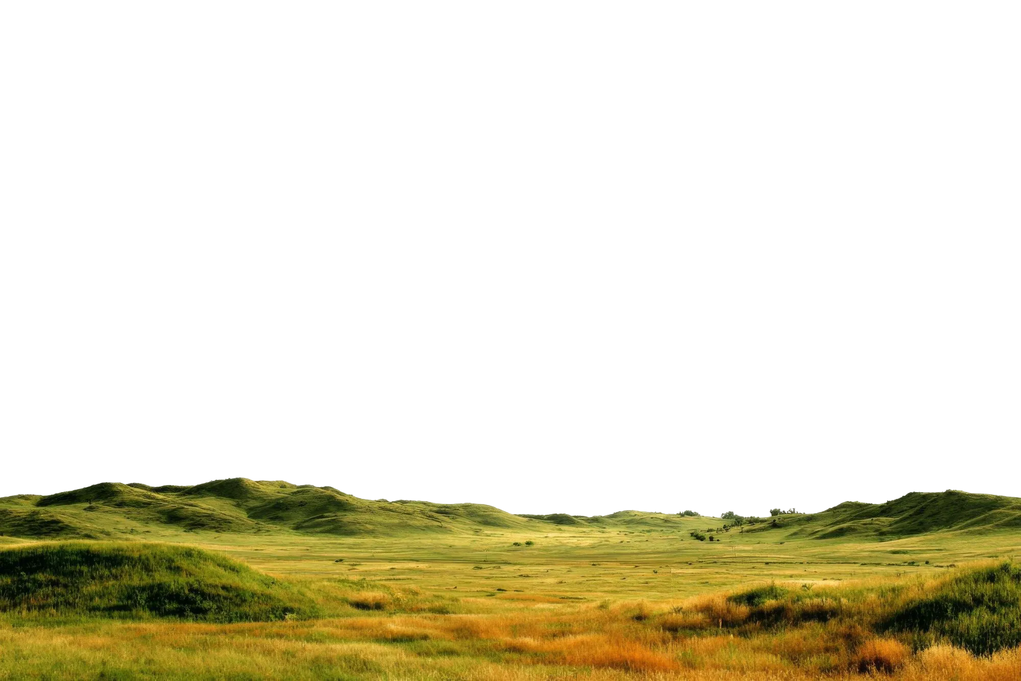Rolling grassland hills at dusk